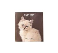 DRAEGER PARIS 1886 - Calendario de pared grande 28x29 cm 2026 - Tema Gatos - 12 meses - Papel FSC - Ilustraciones desmontables
