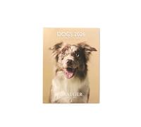 Draeger Paris 1886 - Calendario de pared pequeño 13 x 18 cm 2026 - Tema de perros - 12 meses - Papel FSC - ilustraciones desmontables