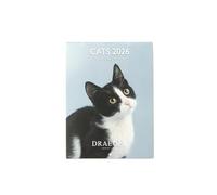 Draeger Paris 1886 - Calendario de pared pequeño 13 x 18 cm 2026 - Tema gatos - 12 meses - Papel FSC - ilustraciones desmontables