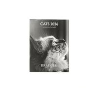 Draeger Paris 1886 - Calendario de pared pequeño 13 x 18 cm 2026 - Tema gatos blanco y negro - 12 meses - Papel FSC - ilustraciones desmontables