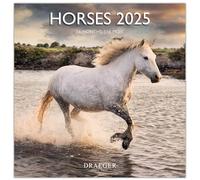 DRAEGER PARIS 1886 - Gran calendario mural 29x29 cm 2025-7 idiomas - Septiembre 2024 a diciembre 2025-12 fotografías disponibles en varios temas - Caballos - Nota de cita, cumpleaños