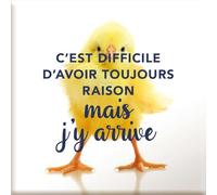 Draeger Paris 1886 - Imán de imán magnético Que es difícil de Tener Siempre razón, Regalo de Humor y motivación, Dimensiones 6,5 x 6,5 cm, Accesorio Decorativo Inspirado para la Confianza en sí Mismo