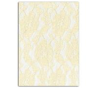 DRAEGER PARIS 1886 Mademoiselle Toga meg703 Flores Encaje thermocollante Marfil 15 x 21 x 0,1 cm