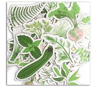 DRAEGER PARIS 1886 Oh My Green Lote de 20 Formas Chipboards, cartón, Verde, 7 x 7 x 0,3 cm