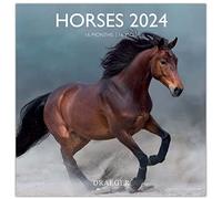DRAEGER PARIS | Gran calendario de pared Caballos 2024 para colgar 29 x 29 cm | 16 meses de septiembre a 23 a dic 24 | 7 idiomas | Calendario de oficina, hogar, mensual | Decoración, organización |
