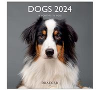 DRAEGER PARIS | Gran calendario de pared para perros 2024 para colgar 29 x 29 cm | 16 meses de septiembre a 23 a dic 24 | 7 idiomas | Calendario de oficina, hogar, mensual | Decoración, organización |