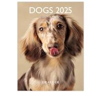 DRAEGER PARIS - Pequeño calendario mural 14x18 cm 2025 - Septiembre 2024 a diciembre 2025-7 idiomas - Septiembre 2024 a diciembre 2025-12 fotografías disponibles - Perros - Organización de sus días