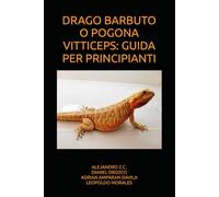 DRAGO BARBUTO O POGONA VITTICEPS: GUIDA PER PRINCIPIANTI