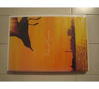 Dragon Ash - Video de Emocion [Lpcm] [Alemania] [DVD]