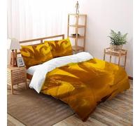 Dragón Aviones de Combate Funda Nórdica Algodon 3 Piezas 3D Estampado Animal Themes Wildlife con Cremallera Y Funda De Almohada Double(200x200cm) Microfibra Juego De Cama para