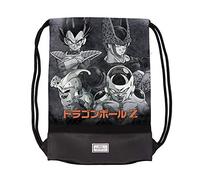 Dragon Ball Saco Storm Evil