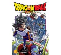 Dragon Ball Super, Vol. 14: Volume 14 (DRAGON BALL SUPER GN)