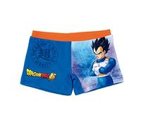 Dragon Ball Z Bañador Niño, Bañador Natación Infantil, Shorts de Baño Goku y Son Gohan, Secado Rápido, Tallas 2 a 6 Años