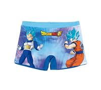 Dragon Ball Z Bañador Niño, Bañador Natación Infantil, Shorts de Baño Super Saiyan, Secado Rápido, Talla 4 Años, Azul Oscuro