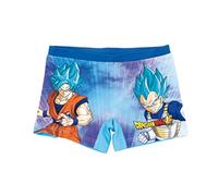 Dragon Ball Z Bañador Niño, Bañador Natación Infantil, Shorts de Baño Super Saiyan, Secado Rápido, Talla 4 Años, Azul