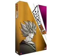 Dragon Ball Z - Coffret 4 DVD - 08 - Épisodes 160 à 175 [Francia]