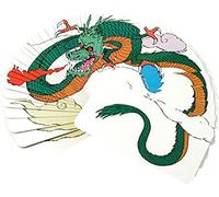 Dragon Fanning Deck Magic Tricks Manipulation 4 Color Dragon Fanning Deck Magic Close Up Gimmick Fun Visual Inusual Card Deck