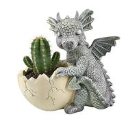 Dragon Garden Macetas de de huevo y | Macetas de exterior para cactus, interior, ventana, jardín, balcón, amantes de la jardinería, mujeres y hombres