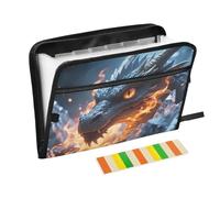 Dragon with Ice and Flame - Carpeta expandible de 13 bolsillos con etiquetas, organizador de documentos A4 con cremallera