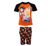 Dragonball Niños Camiseta y Short (Naranja,12 años)
