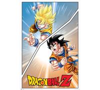 Dragonballz Póster especial de Goku Maxi, arte de pared de acción de anime, póster icónico de personajes DBZ