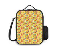 Dragonfly Lunch Bag Insulated Lunch Box,Moth Butterfly in Watercolor Print,Durable Insulated Lunch Bag Reusable Tote Bag Lunch Box for Adult Men Women