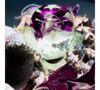 Dragongirl - Hot Blue [Vinilo]