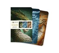 Dragons by Kerem Beyit Set of 3 Mini Notebooks (Mini Notebook Collections)