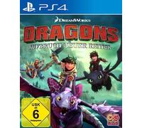 Dragons Dawn of New Riders Juego PlayStation 4 PS4