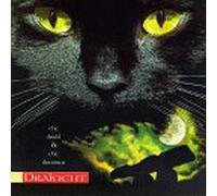 Draiocht - Druid & The Dreamer