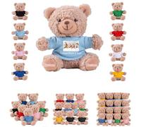 DRAJOIN 6 a 18 Piezas Lotes de Ositos de Peluche Personalizados con Foto Texto, Small Teddy Bears Bulk Ositos de Peluche Pequeños como Regalos de San Valentín y Navidad para La Clase, 11cm