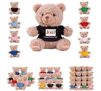 DRAJOIN 6 a 18 Piezas Lotes de Ositos de Peluche Personalizados con Foto Texto, Small Teddy Bears Bulk Ositos de Peluche Pequeños como Regalos de San Valentín y Navidad para La Clase, 11cm