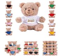 DRAJOIN 6 a 24 Piezas Lotes de Ositos de Peluche Personalizados con Foto Texto, Small Teddy Bears Bulk Ositos de Peluche Pequeños como Regalos de San Valentín y Navidad para La Clase, 11cm