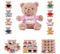 DRAJOIN 6 a 24 Piezas Lotes de Ositos de Peluche Personalizados con Foto Texto, Small Teddy Bears Bulk Ositos de Peluche Pequeños como Regalos de San Valentín y Navidad para La Clase, 11cm