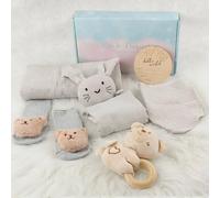 DRAKEWOOD Gris 6 en 1 Canastilla Bebe Recien Nacido Unisex con Toalla Baño Babero Triangular Calcetines Sonajero Tarjetas de Hitos y Mantita de Apego Gato - Set de Regalo Nacimiento para Niña Niño