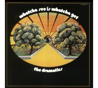 Dramatics,the - Whatcha See Is Whatcha Get