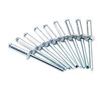 Draper 5010559140121 - Remachadora (tamaño: 4.8mm)