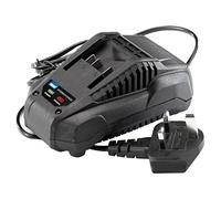 Draper Storm Force 89425 - Cargador para Intercambio de energía (20 V)