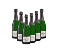 Drappier - Champagne Brut Nature Cero Dosaje - lote de 6 x 75 cl