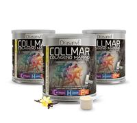 Drasanvi COLLMAR Colageno Marino Hidrolizado con Magnesio, Acido Hialuronico y Vitamina C | para cartílagos, huesos y piel | Máx. Asimilación 9.717 mg/día | 3 x 300 g de polvo | Sabor Vainilla
