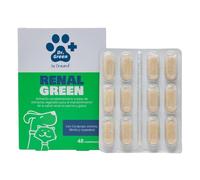 DRASANVI RENALGREEN 48 Comprimidos DR Green