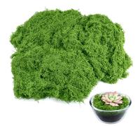 Draupnir Musgo verde falso para plantas de interior, musgo falso de 5.3 onzas para manualidades, preservado para bricolaje, decoración de centros de mesa, decoración de jardín de hadas, flores de boda