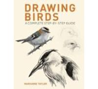 Drawing Birds