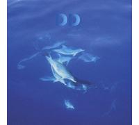 Dream Dolphin - 12 Dolphins Leave the Planet - Best of