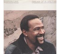 DREAM OF A LIFETIME VINYL LP[CBS26239]1985 MARVIN GAYE