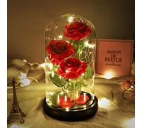 Dream of Flowers - Rosa de la Bella y la Bestia, rosa de seda roja y luz LED en cúpula de cristal, decoración del hogar, regalos increíbles y románticos para mujeres, Navidad, boda, día de San Valentín
