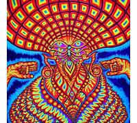 Dream Syndicate,the - Universe Inside [Vinilo]