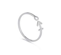 Dreamtimes Anillos del zodiaco de acero inoxidable para mujer 12 signos del zodiaco anillo abierto Aries León Virgo Gemelos Báscula Piscis Escorpión regalo de cumpleaños