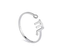 Dreamtimes Anillos del zodiaco de acero inoxidable para mujer 12 signos del zodiaco anillo abierto Aries León Virgo Gemelos Báscula Piscis Escorpión regalo de cumpleaños