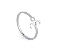 Dreamtimes Anillos del zodiaco de acero inoxidable para mujer 12 signos del zodiaco anillo abierto Aries León Virgo Gemelos Báscula Piscis Escorpión regalo de cumpleaños